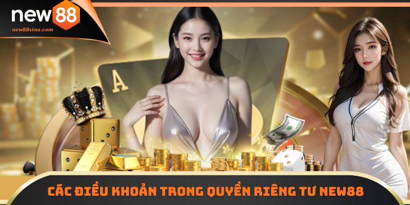 Các điều khoản trong Quyền riêng tư NEW88