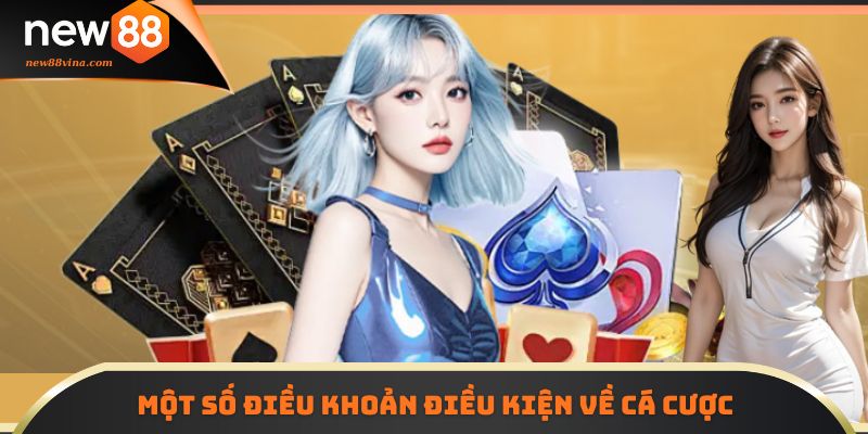 Điều Khoản Điều Kiện NEW88 5 | 789BET Một số điều khoản điều kiện về cá cược