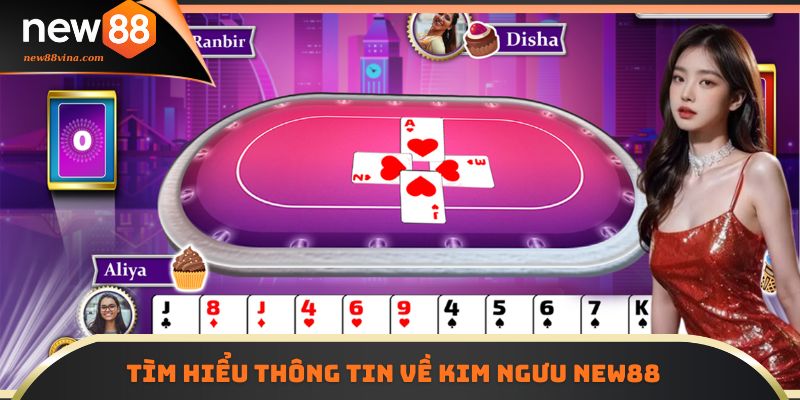 Tìm hiểu thông tin về Kim Ngưu NEW88